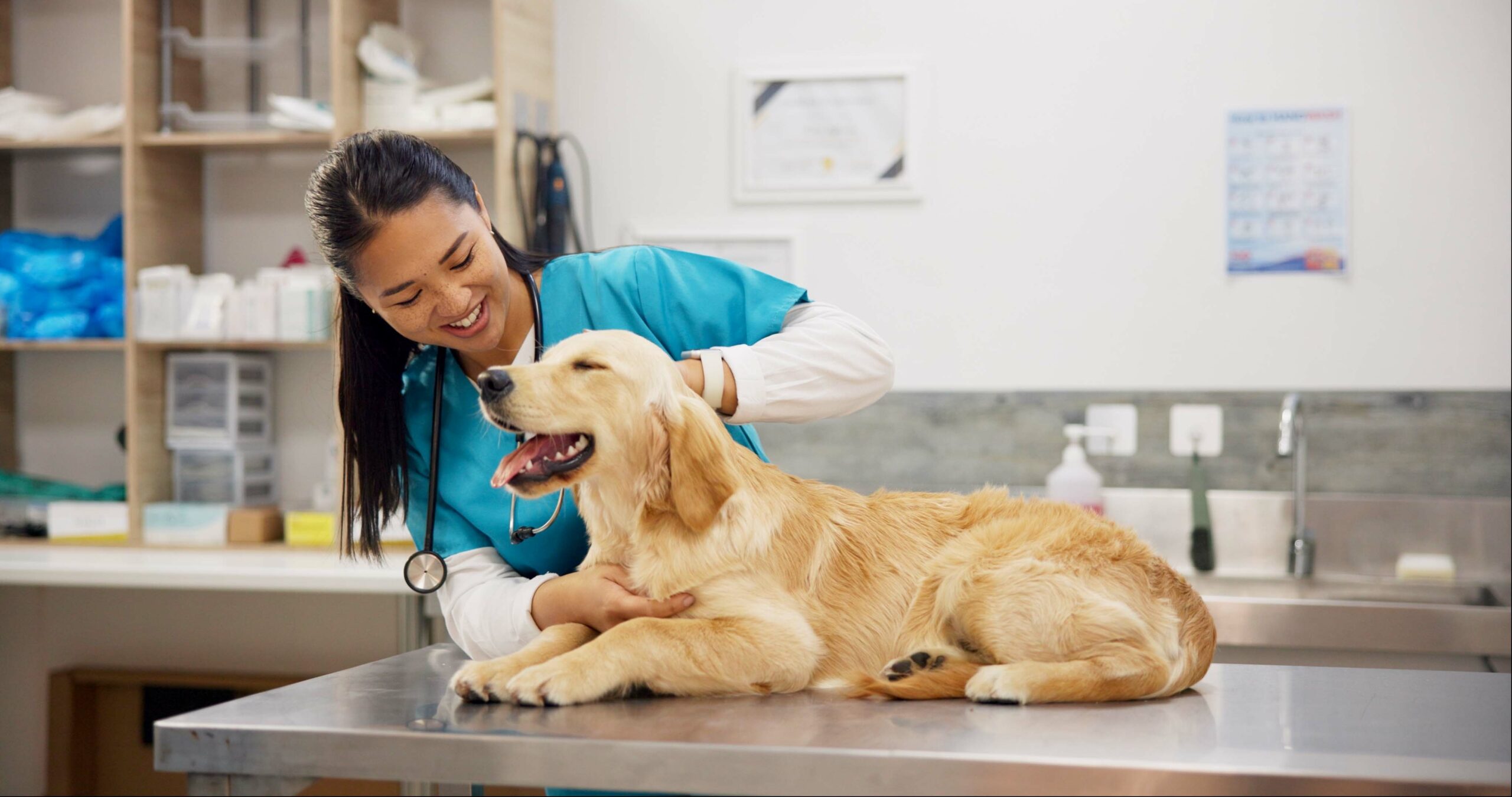 Veterinarian examining a happy golden retriever at PawCare clinic