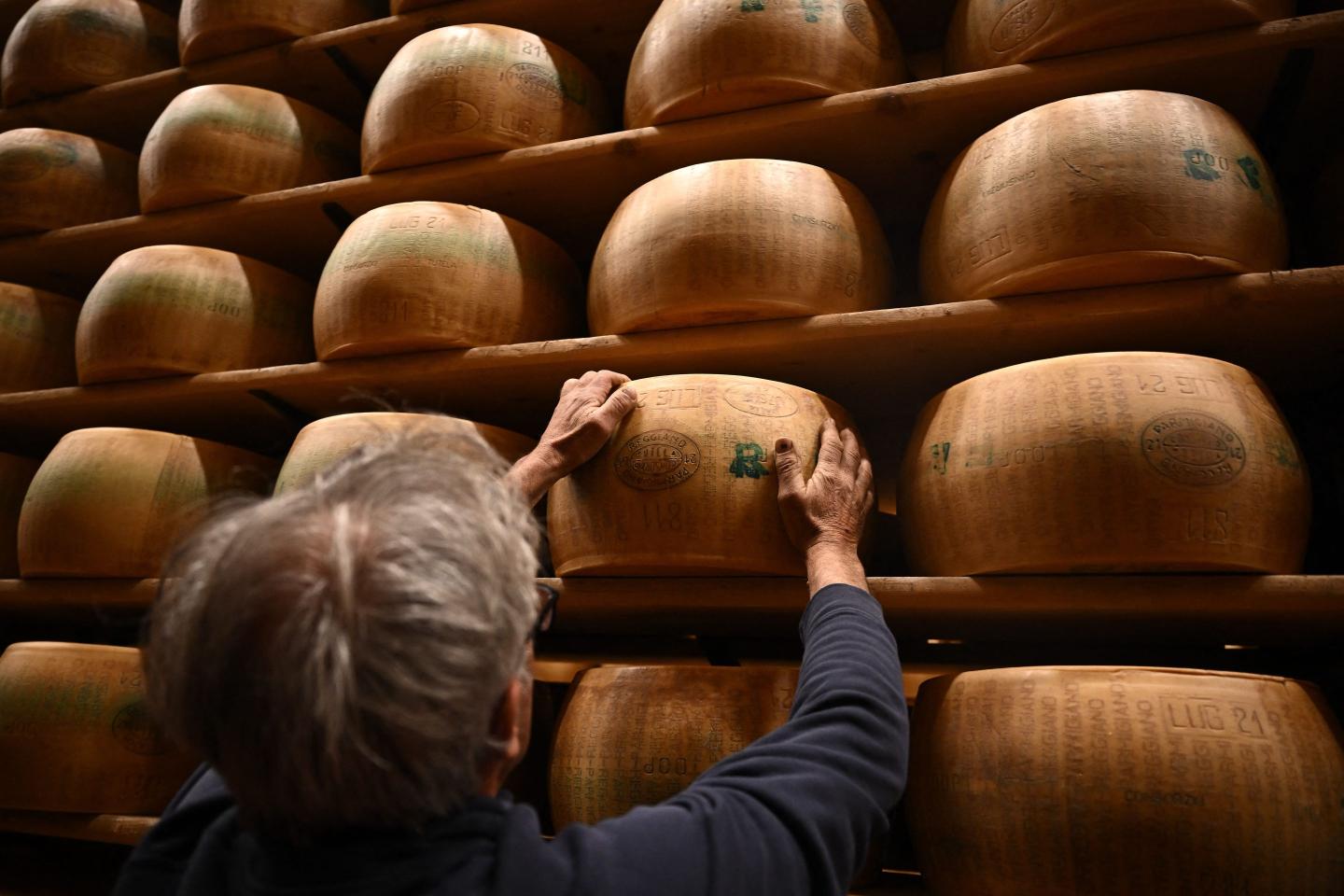 Parmigiano Reggiano / Parmigiano Reggiano