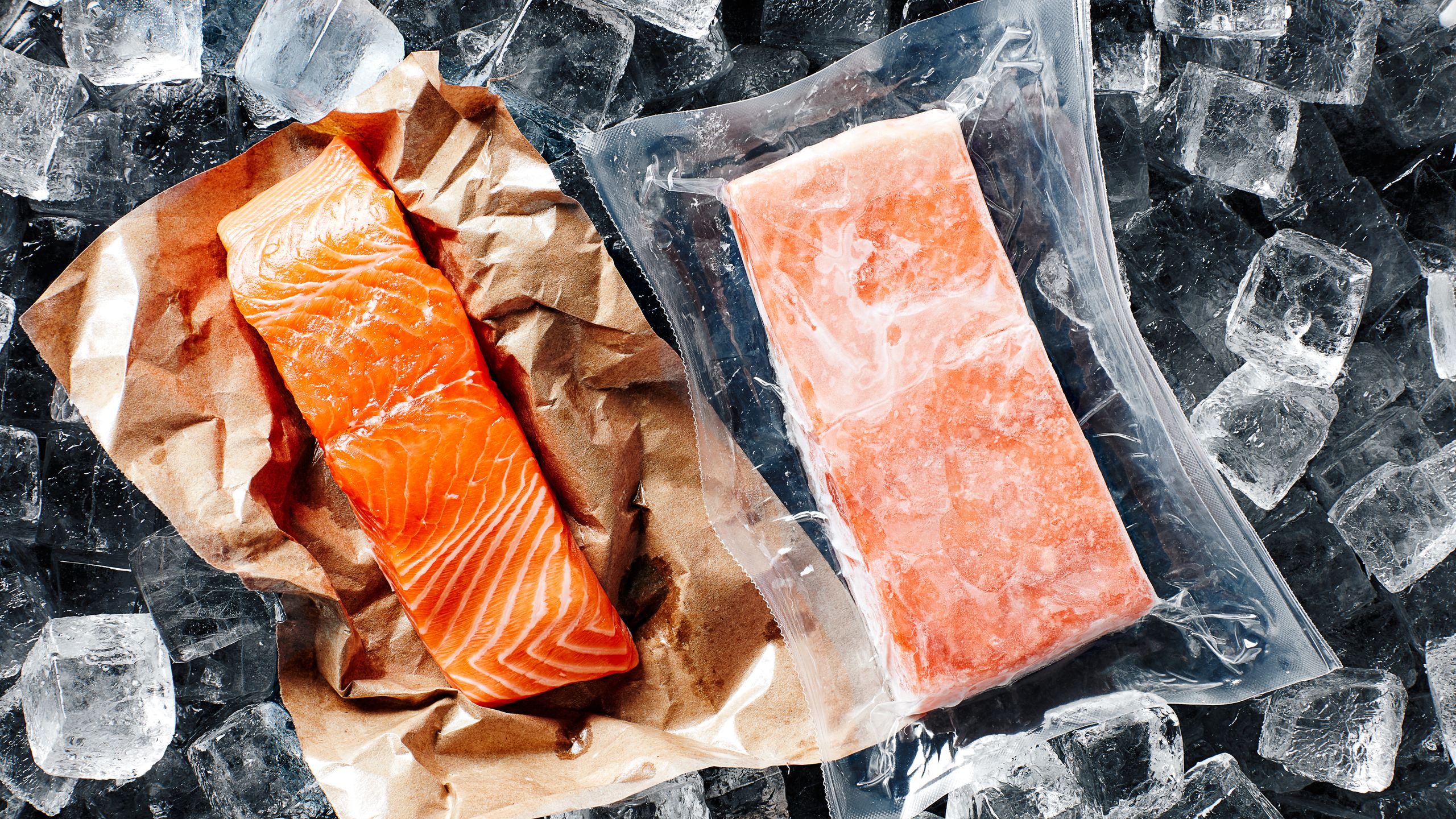 Salmone Atlantico / Atlantic Salmon